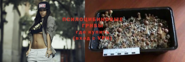 МДПВ Абдулино