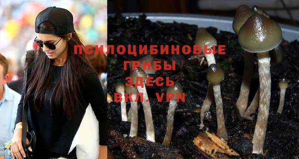 spice Абинск