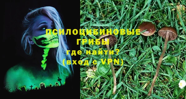 дурь Абаза
